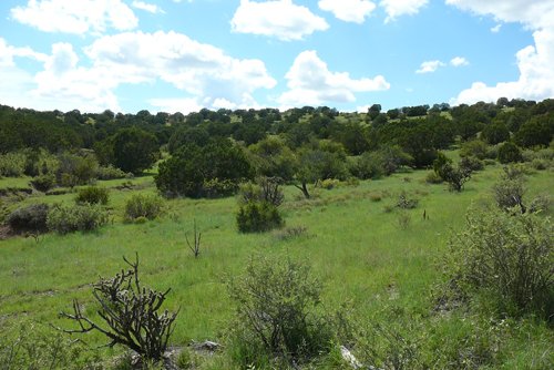 Property photo 46 - 7,320 Acres Offered in 5 Tracts